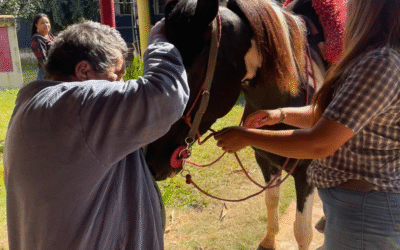 Queima do Alho sem cavalgada não é queima do alho!