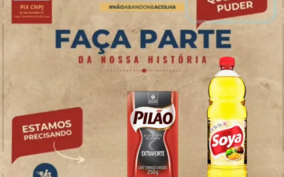 Sua doação faz a diferença todos os dias